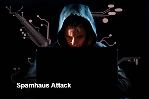 3、Spamhaus攻击 Radware 2013 Cyber Attacks 04.jpg
