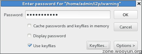 输入刚才的密码，如果有keyfile就选择keyfile